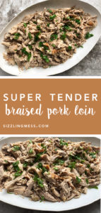 Braised Pork Pinterest Pin Image